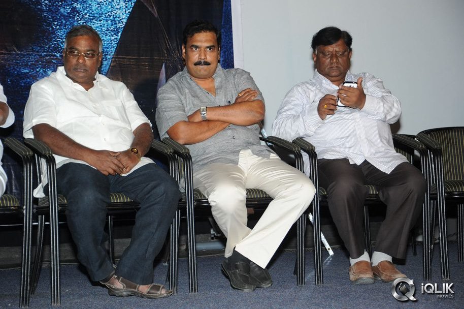 Bachchan-Movie-Platinum-Disc-Function